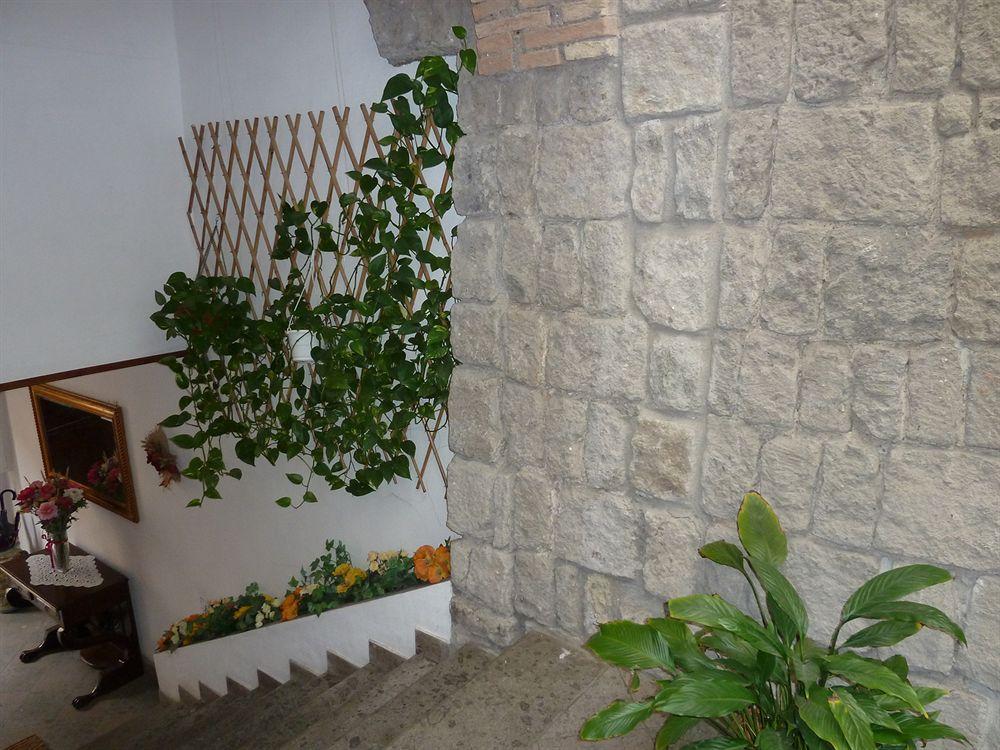 לינה וארוחת בוקר ויטרבו Bb Santa Rosa מראה חיצוני תמונה